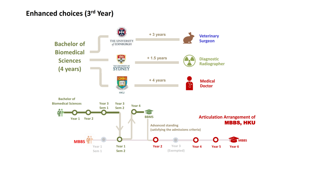 articulation chart